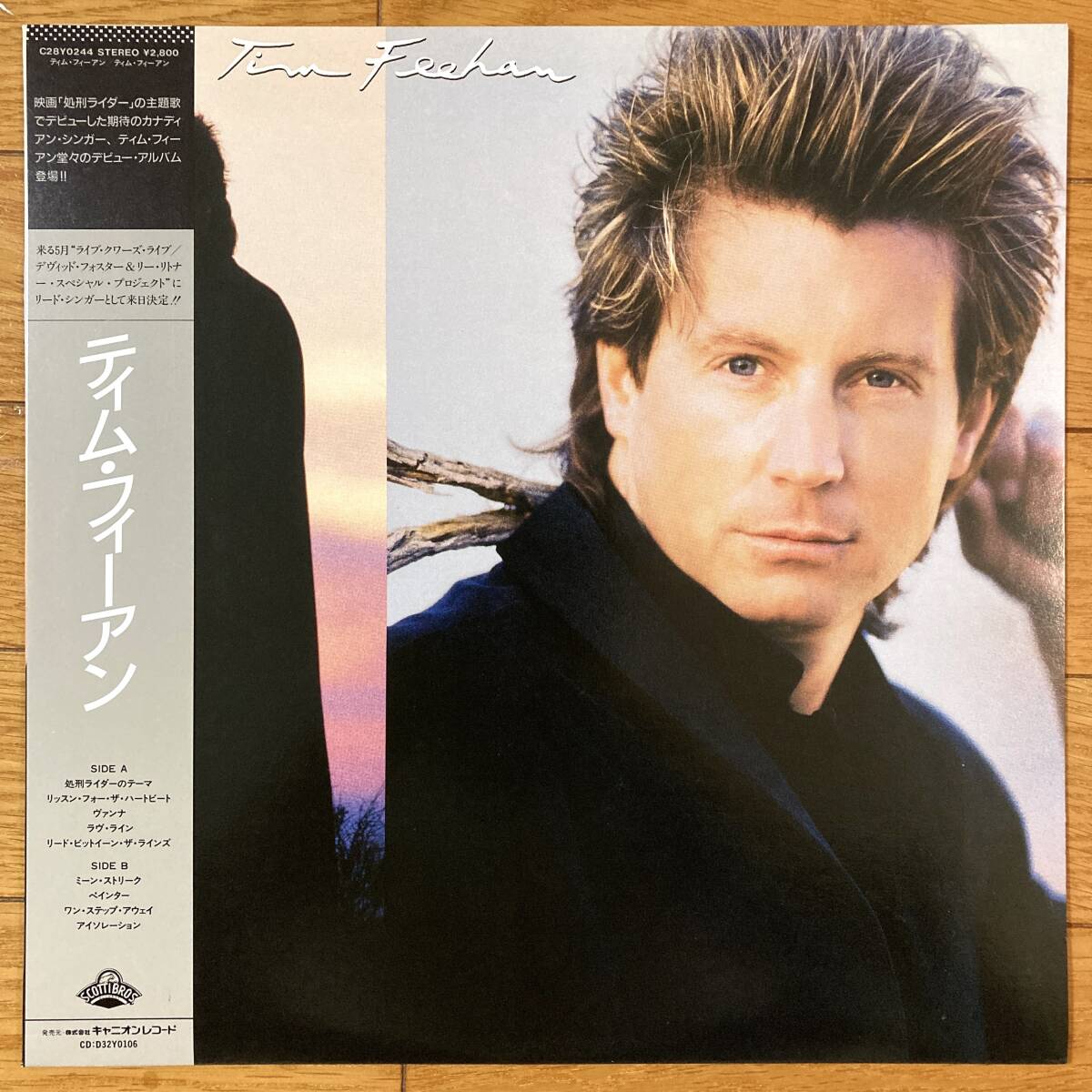 ■ティム・フィーアン■Tim Feehan■C28Y0244■AOR■David Foster■帯拍卖