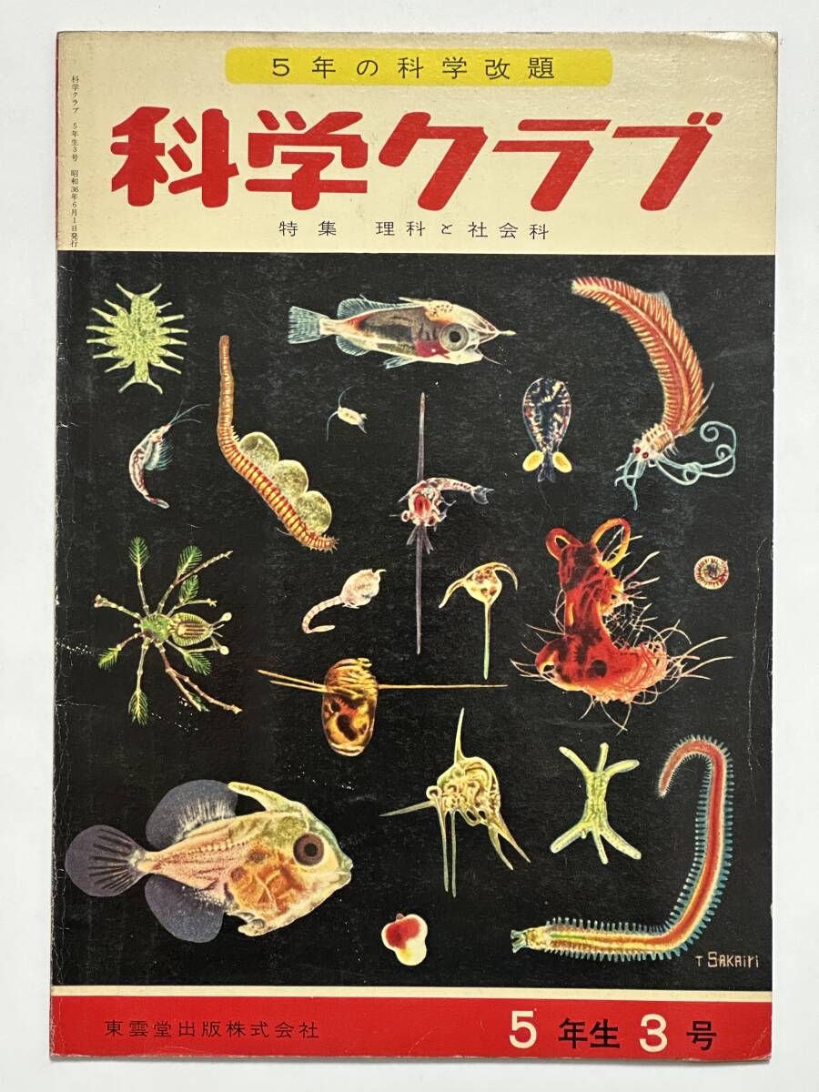 科学クラブ 5年生3号 昭和36(1961)年6月 東雲堂 魚とプランクトン/さまざまな農業とそのくふう拍卖
