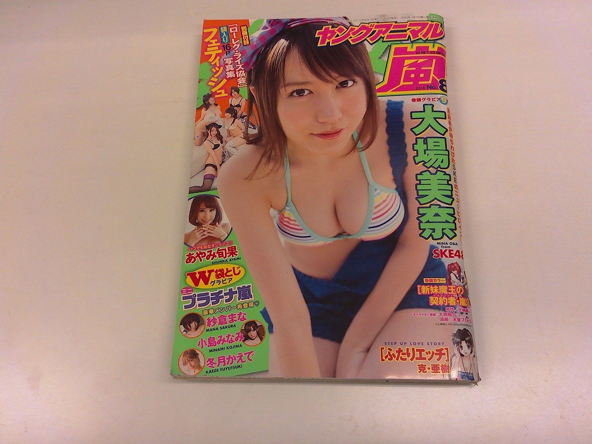 2408WO●ヤングアニマル嵐 8/2015.8.1●表紙&巻頭グラビア SKE48 大場美奈/あやみ旬果/紗倉まな 小島みなみ 冬月かえで/付録なし拍卖