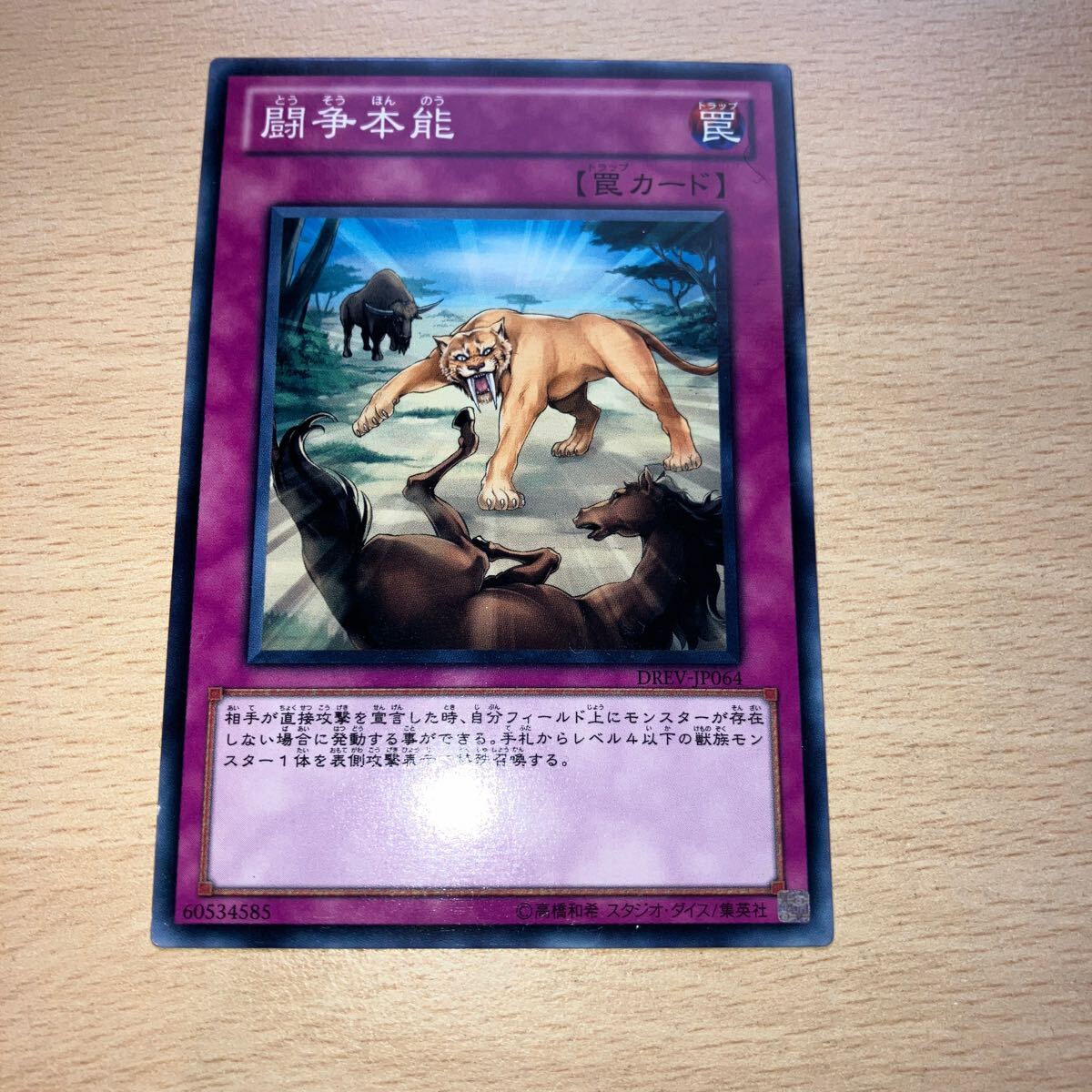 遊戯王 シングル 第7期/1弾/DREV-JP064 闘争本能 拍卖