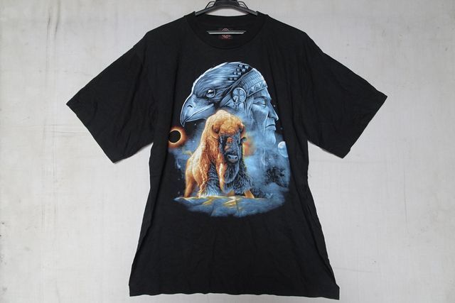 ROCK EAGLE/ロックイーグル/半袖Tシャツ/前後プリント/動物/地球/カジュアル/黒/ブラック/Lサイズ(8/20R)拍卖