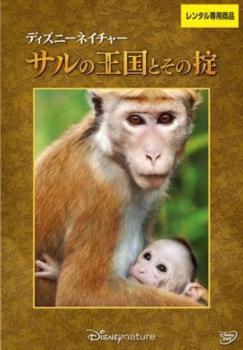 ディズニーネイチャー サルの王国とその掟 レンタル落ち 中古 DVD拍卖