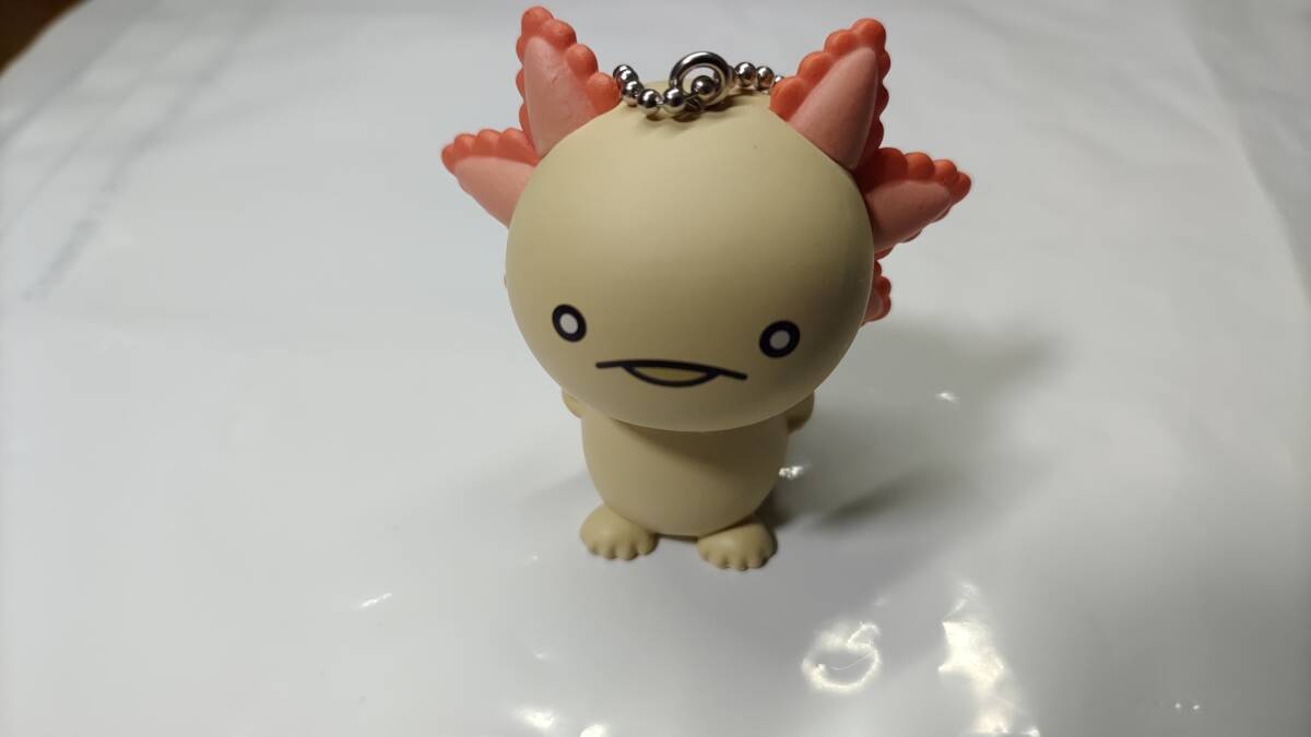 ★激レア★ 人生はウーパールーパー アルビノ 新品 ボールチェーン付き 送料無料 ガチャガチャ かわいい ウーパールーパー拍卖