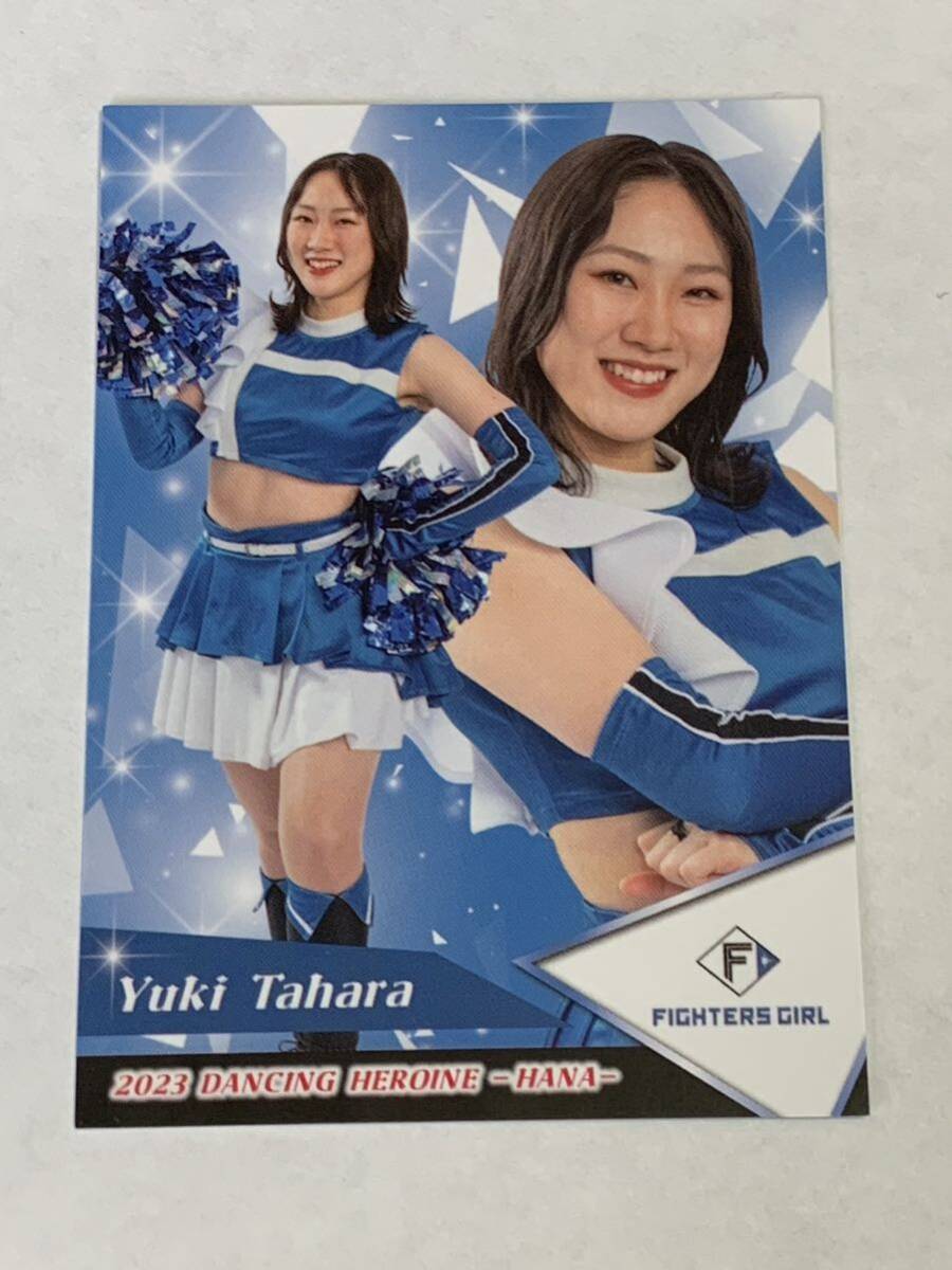 田原悠希 2023 BBM チアリーダー 華 レギュラーカード 日本ハム FIGHTERS GIRL きつねダンス 即決拍卖