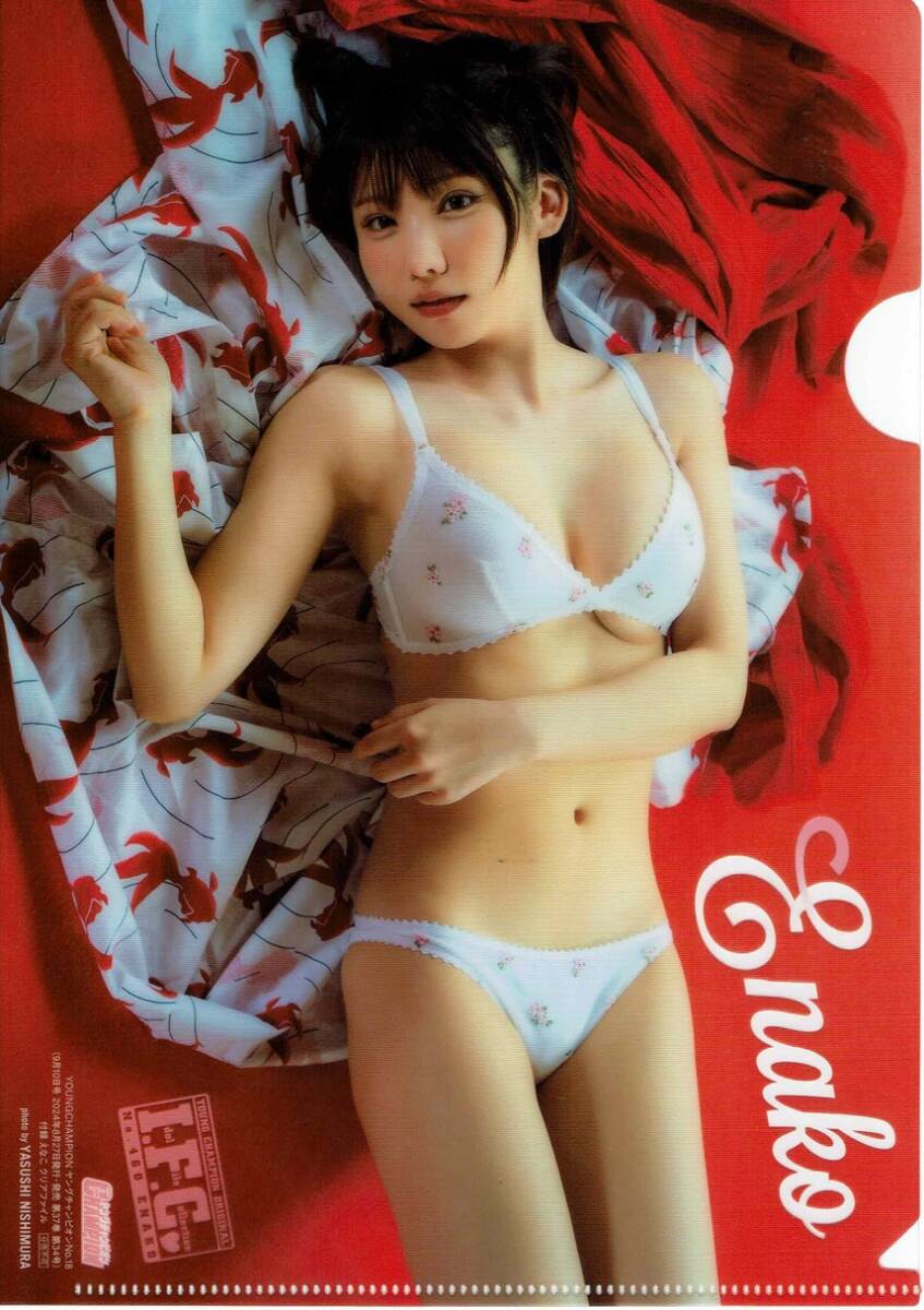 えなこ クリアファイル ヤングチャンピオン 2024年 9月 10日号 付録拍卖