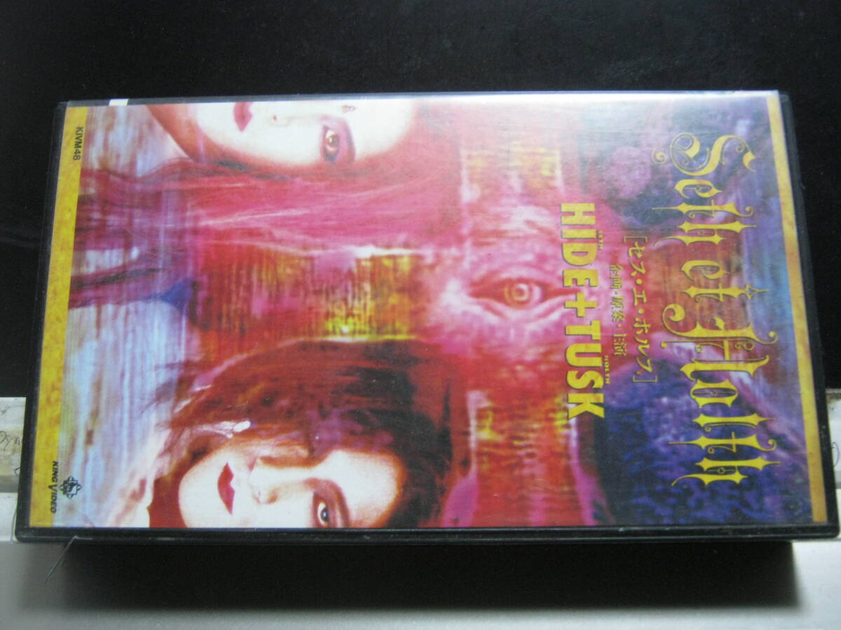 HIDE+TUSK / Seth et Holth セス・エ・ホルス VHS ステッカー付 X JAPAN エックス ZI:KILL ジキル EXTASY RECORDS 拍卖