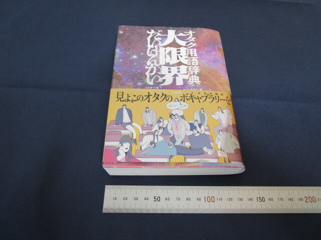 オタク用語辞典 大限界 管番9拍卖