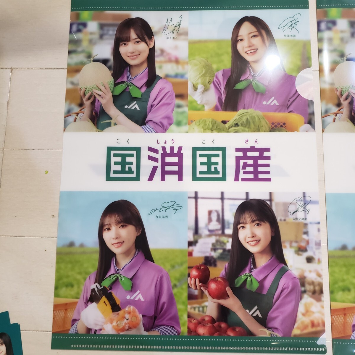 乃木坂46 クリアファイル 乃木坂46 クリアファイル 2枚 JA 非売品 チラシ フライヤー 山下美月 梅澤美波 与田祐希 久保史緒里拍卖