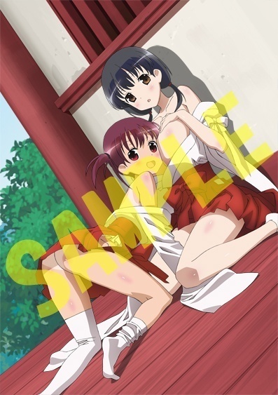 咲 -Saki- 全国編 ソフマップ特典 B2タペストリー拍卖