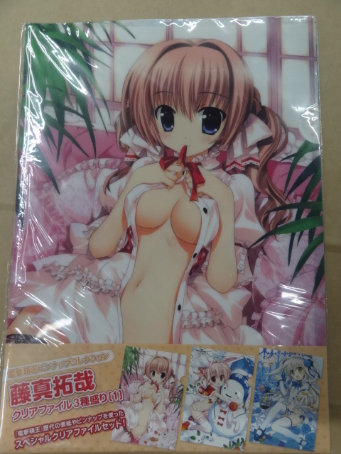 藤真拓哉クリアファイル3種盛り 電撃萌王拍卖