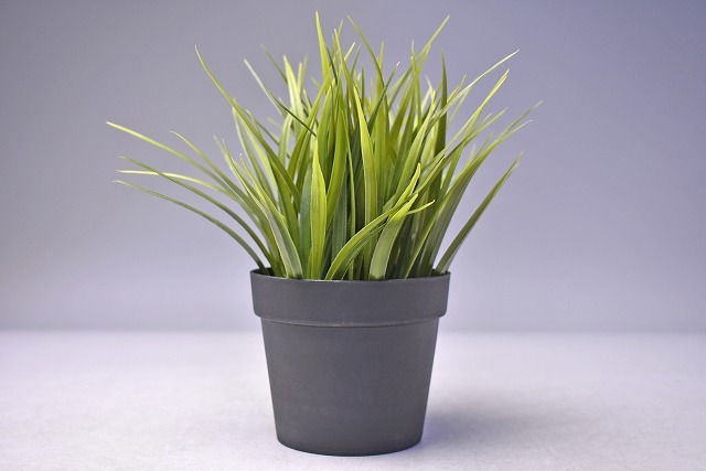 フェイクグリーン ★ 人工の観葉植物 ★ 猫草風 ★ 高さ20cmぐらい ★ イケア製 ★ インテリア 置物拍卖