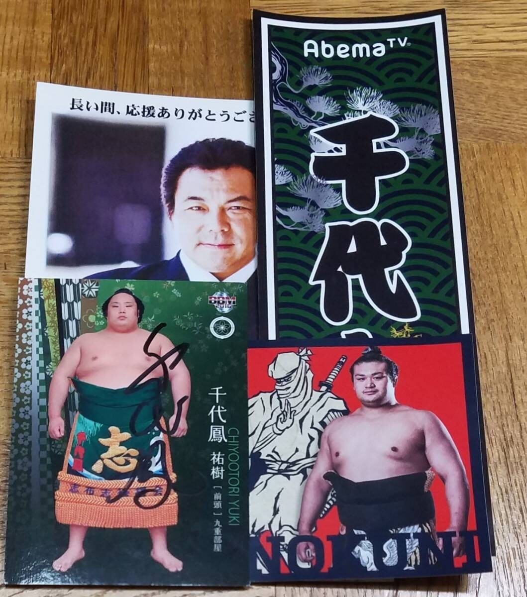 新品未使用 大相撲 千代鳳 直筆サイン 相撲カード 千代の富士 九重親方 ポストカード 九重部屋 千代の国 千代丸 ステッカー拍卖