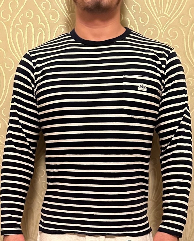 LEE リー メンズ 長袖 Tシャツ ストライプ トップス Mサイズ マッチョ カジュアル リーバイス 人気モデル 長袖ボーダーロンTアメカジ拍卖