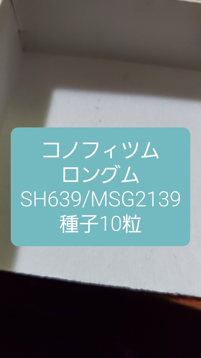 コノフィツム ロングム SH639/MSG2139 種子10粒拍卖