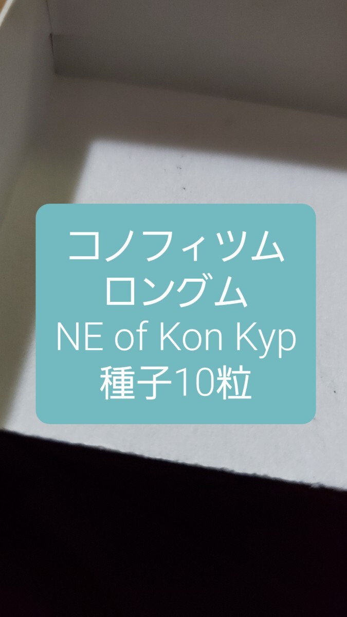コノフィツム ロングム, NE of Kon Kyp 種子10粒拍卖