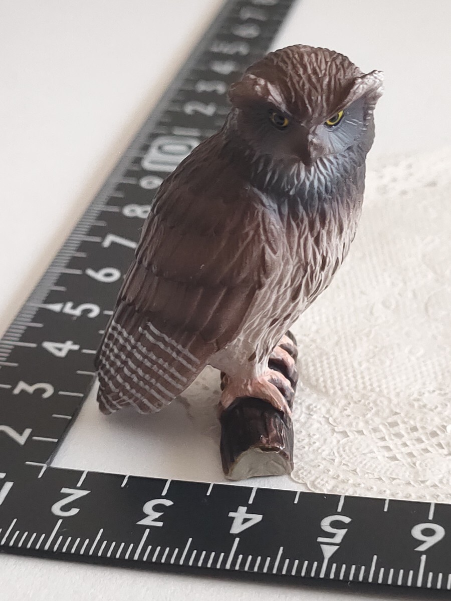 4r0416 ミニチュアプラネット 鳥 フクロウ ふくろう 動物 ミニチュア拍卖