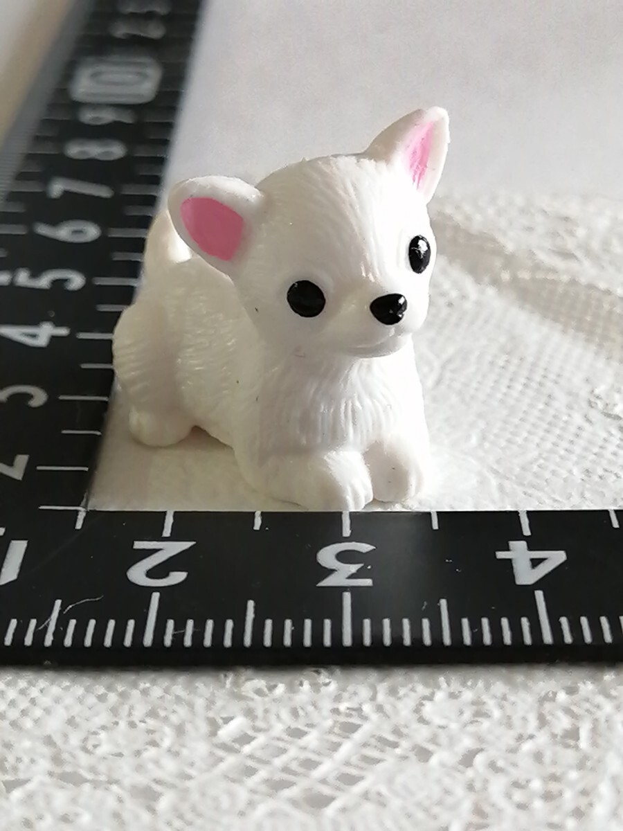 4r829 ドール用 ペット 犬 ミニチュア 白 チワワ 子犬 仔犬 momoko バービー ジェニー ピュアニーモ リカちゃん ブライス 1/6ドール拍卖
