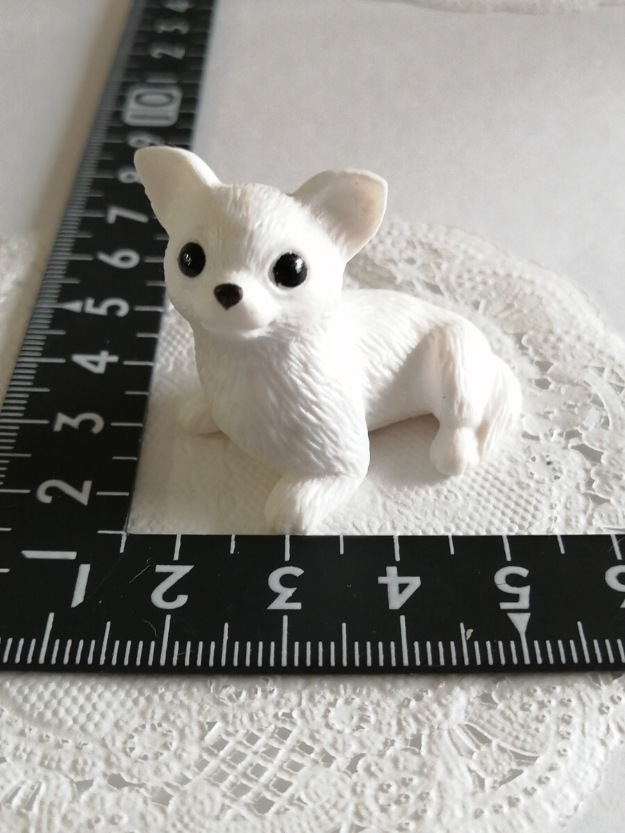 4r829 ドール用 ペット 犬 ミニチュア 白 チワワ ママ momoko バービー ジェニー ピュアニーモ リカちゃん ブライス 1/6ドール拍卖