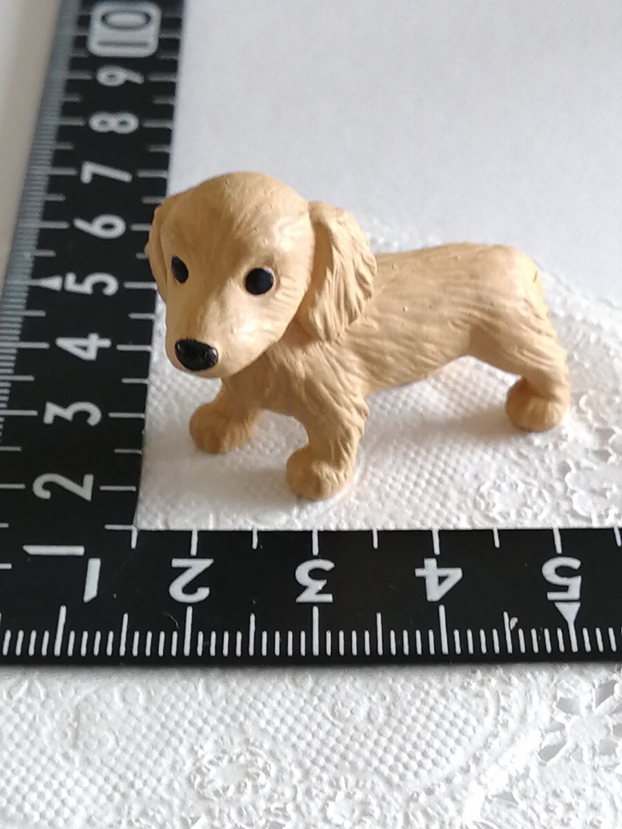 4r829 ドール用 ミニチュアダックス ベージュ ミニチュア 動物 バービー ジェニー momoko タミーちゃん リカちゃん ピュアニーモ 1/6ドール拍卖