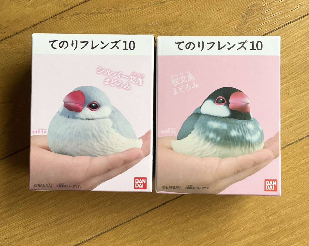 【新品】まどろみ 桜文鳥&シルバー文鳥 てのりフレンズ10 2個セット ブンチョウ拍卖