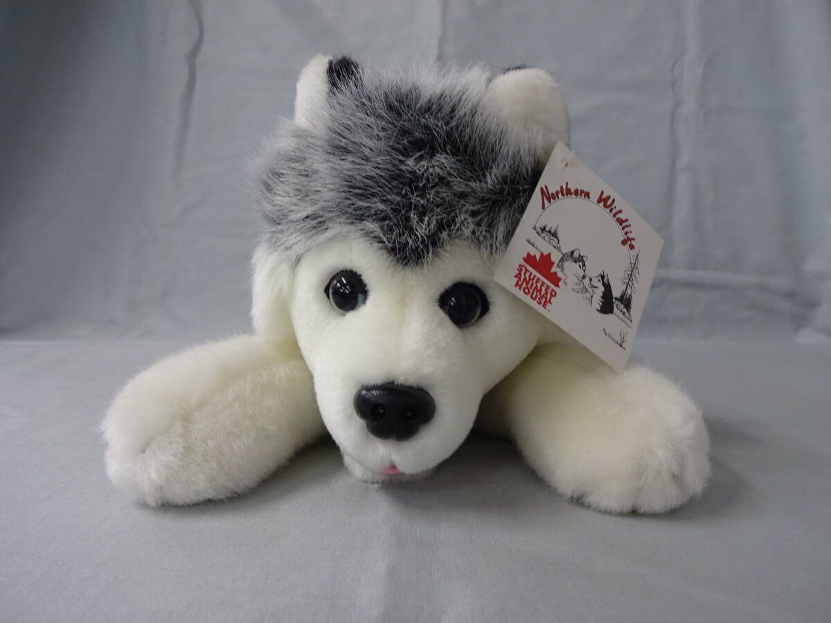 Stuffed Animal House 犬 いぬ イヌ シベリアンハスキー 寝そべり 赤い首輪 ぬいぐるみ カナダ お土産 全長約38cm拍卖
