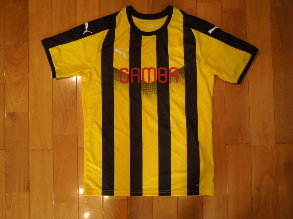 ガンバ大阪 サッカー 応援ユニフォーム 辻選手 Mサイズ拍卖