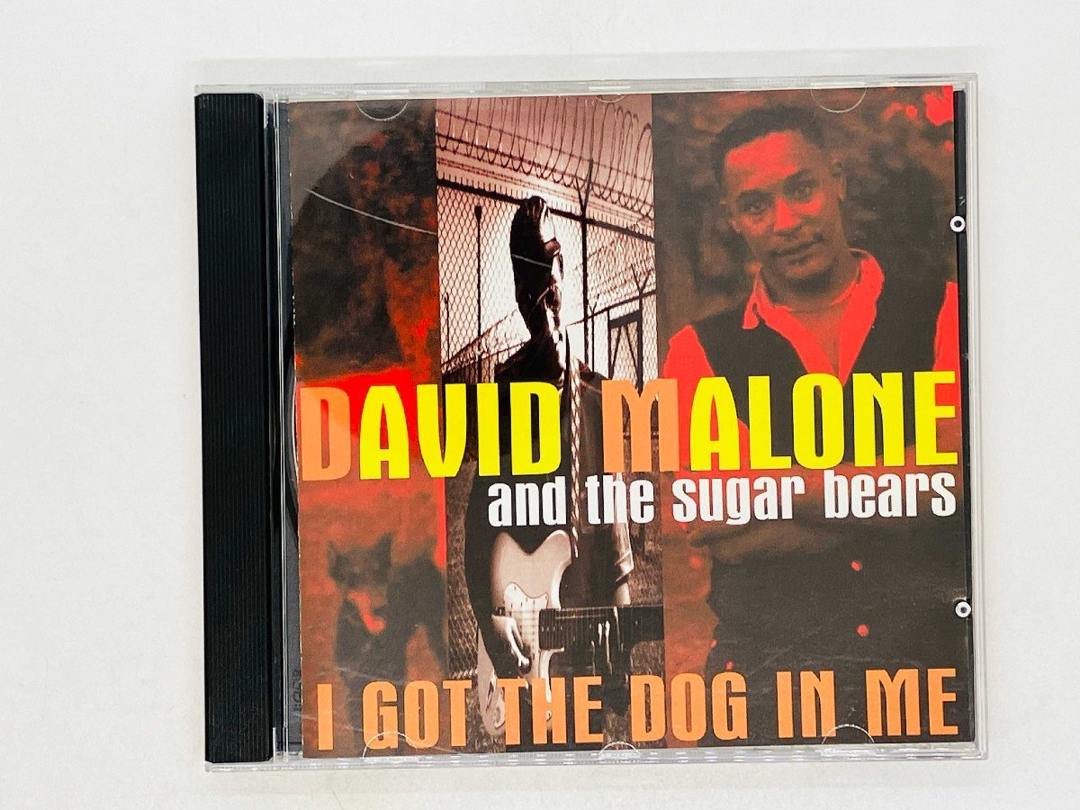 即決CD David Malone / I Got The Dog In Me / デヴィッド・マローン / アイ・ガット・ザ・ドッグ・イン・ミー 42084-2 Y18拍卖