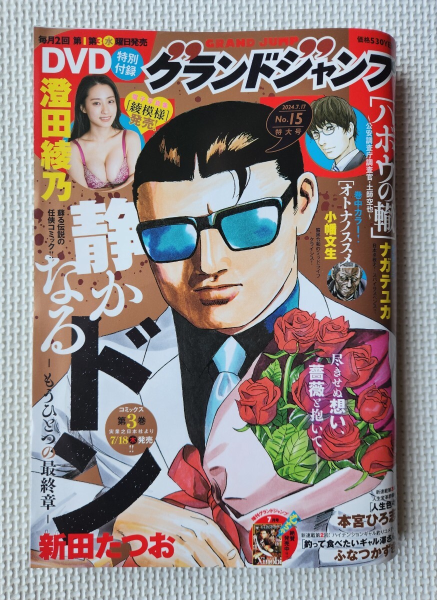 ☆ グランドジャンプ 2024年15号 澄田綾乃 DVD ( 新品未開封 )付き拍卖