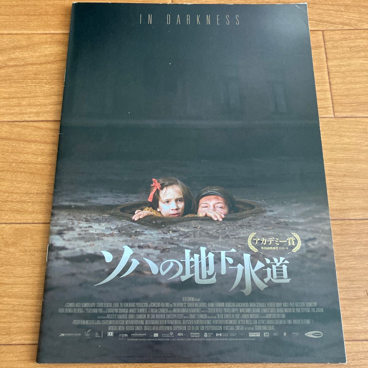 プレスシート「ソハの地下水道」ポーランド ユダヤ ナチス ホロコースト拍卖