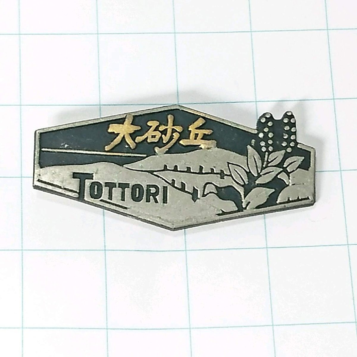 送料無料)鳥取大砂丘 登山 観光 旅行 記念 山バッジ ピンバッジ PINS ピンズ A25835拍卖