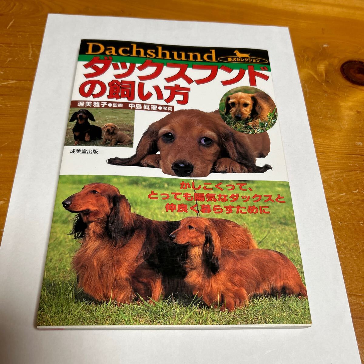 ダックスフンドの飼い方 かしこくって、とっても陽気なダックスと仲良く暮らすために (愛犬セレクション) 中古品 美品 送料無料拍卖