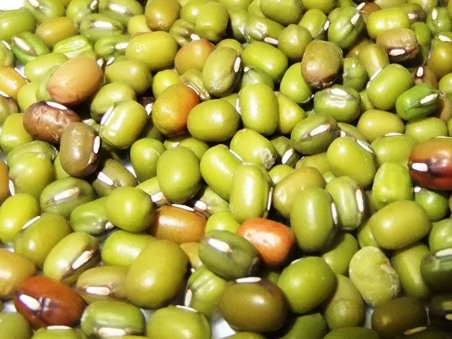 471.6.2◆まき菜 スプラウト 緑あずき 緑豆 青小豆 10ml 9g リゾット サラダ トライ家庭菜園 人気 発芽野菜 新芽野菜 無農薬 無消毒 野菜種拍卖