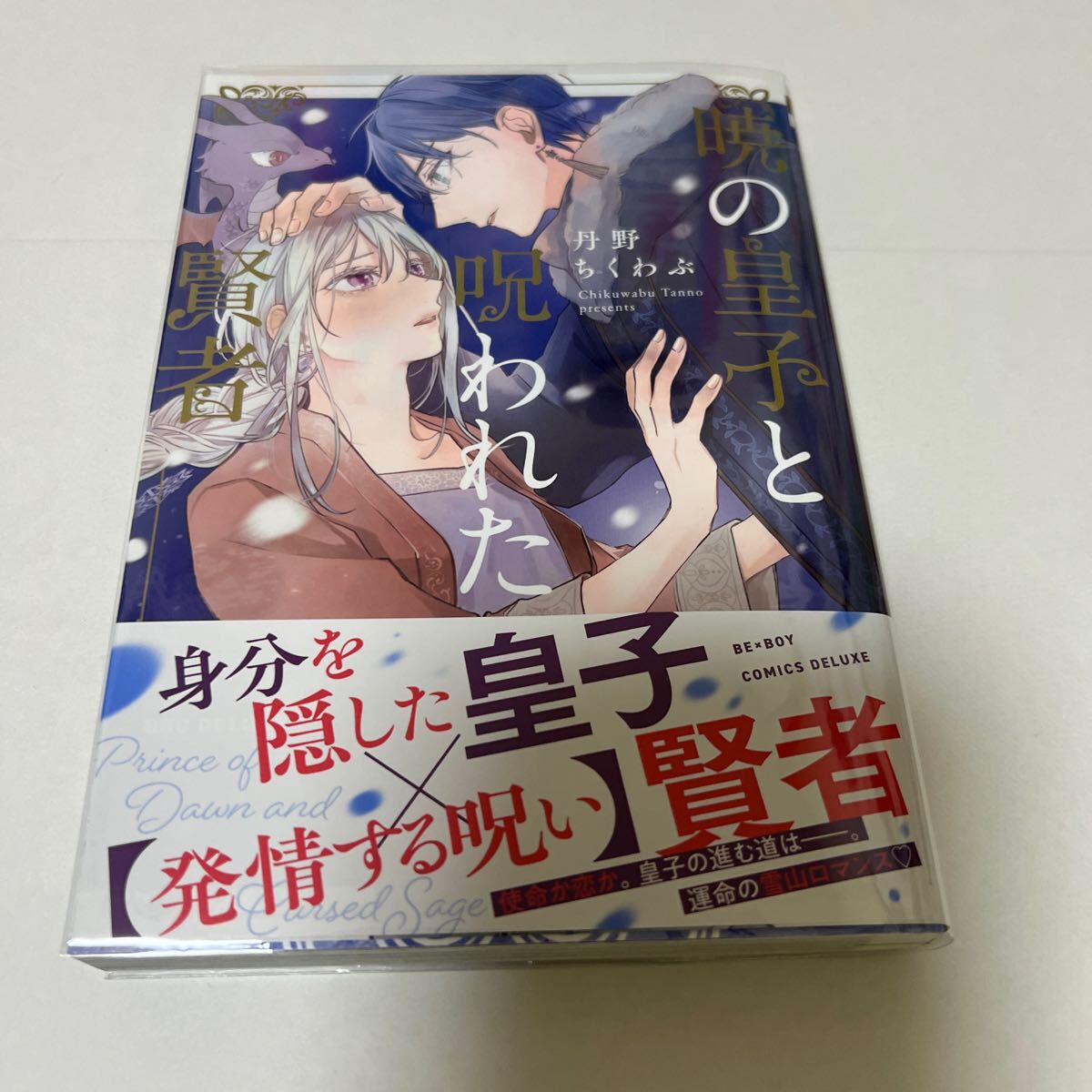 BL 4094 暁の皇子と呪われた賢者…丹野ちくわぶ拍卖