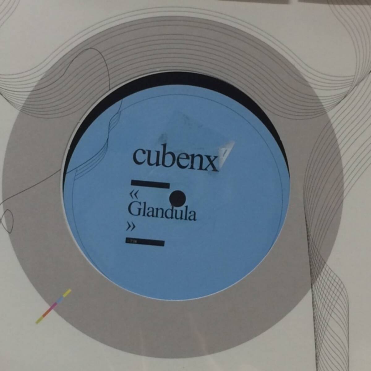 Cubenx - Glandula(★盤面極上品!)拍卖