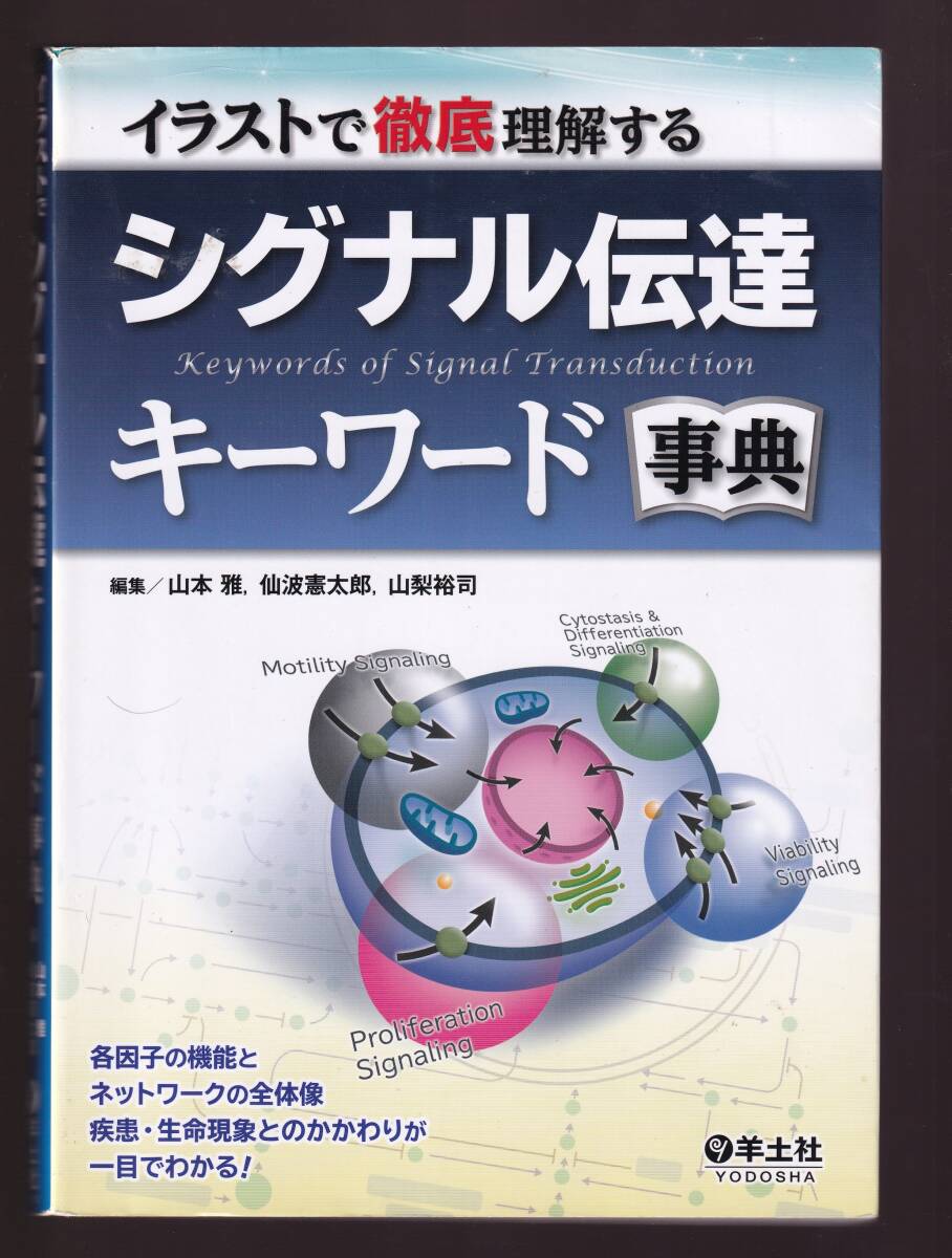 イラストで徹底理解するシグナル伝達キーワード事典 羊土社 (生化学 生命科学 細胞生物学 分子細胞生物学 分子生物学 神経科学免疫拍卖