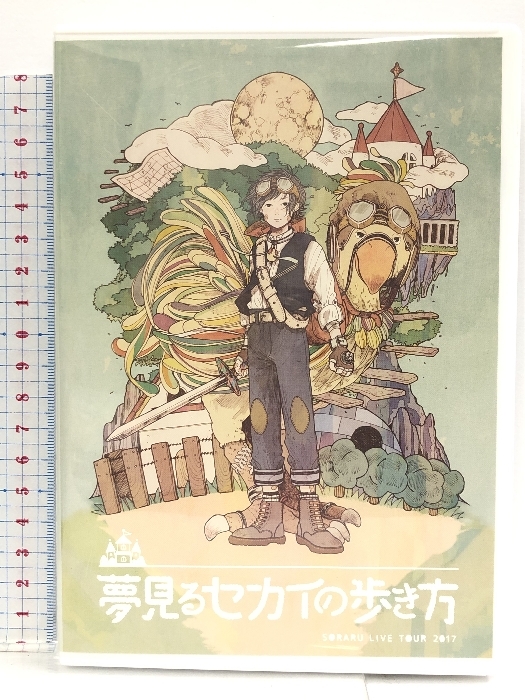 SORARU LIVE TOUR 2017~夢見るセカイの歩き方~ ライブDVD拍卖