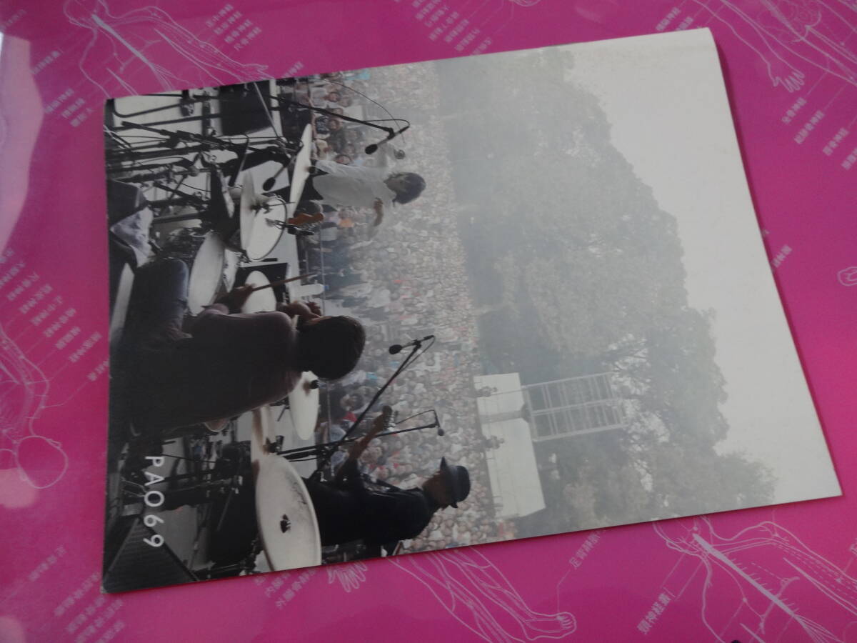 エレファントカシマシ PAO ファンクラブ 会報 vol.69 エレカシ 宮本浩次 FC拍卖