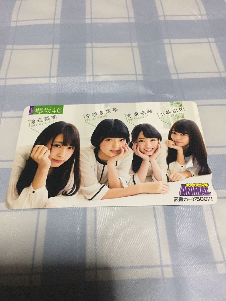 欅坂46 渡辺梨加 平手友梨奈 今泉佑唯 小林由依 抽プレ 抽選 図書カード akb 乃木坂 櫻坂 日向坂拍卖