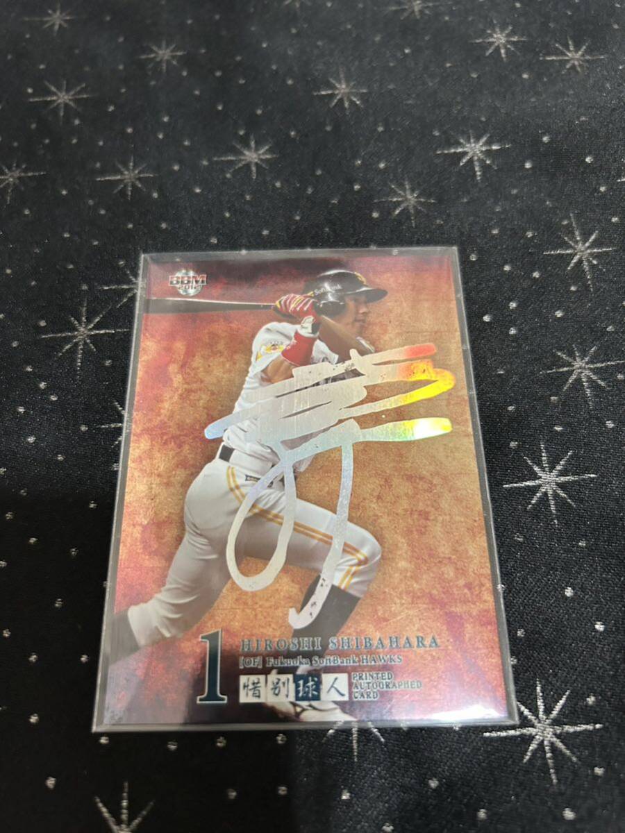 12BBM 惜別球人 柴原洋 50枚限定 銀サイン拍卖