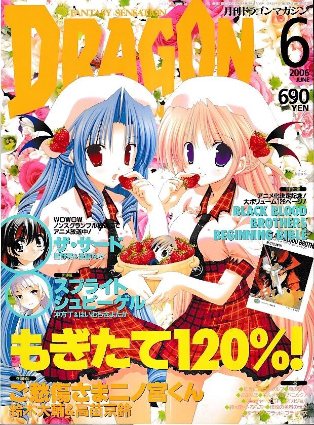 ■送料無料■Y23■ドラゴンマガジン■2006年6月■ご愁傷さま二ノ宮くん/ザ・サード/スプライトシュピーゲル■(別冊付録欠)拍卖