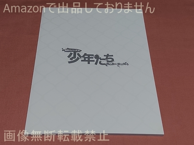 $関西ジャニーズJr. 少年たち 南の島に雪は降る 2017 パンフレット 西畑大吾 向井康二 大西流星拍卖