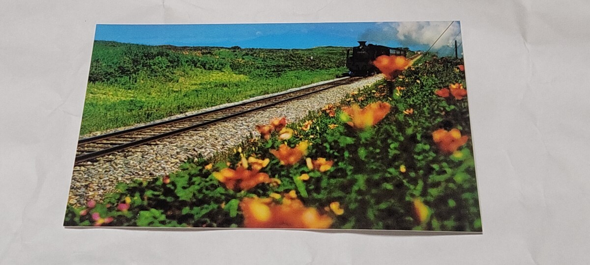 2637 絵葉書 網走 原生花園をゆく蒸気機関車拍卖