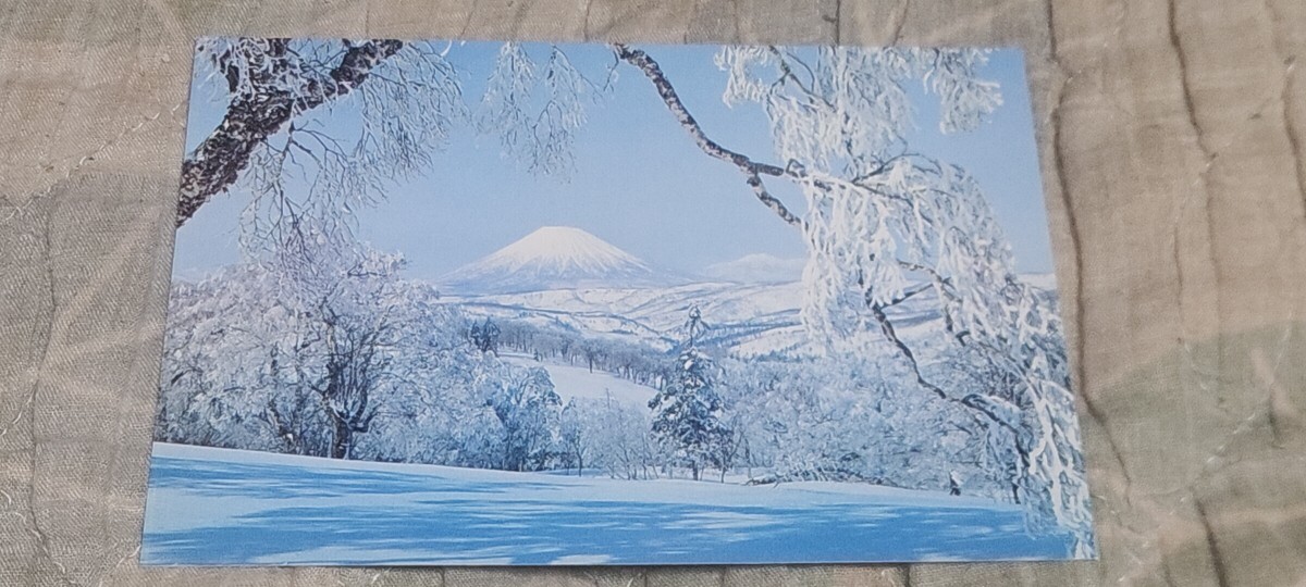 2855 絵葉書 冬の中山峠付近と羊蹄山拍卖
