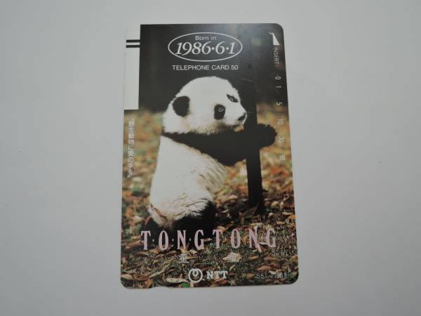 トントン パンダ 未使用 50度数テレフォンカード テレカ拍卖