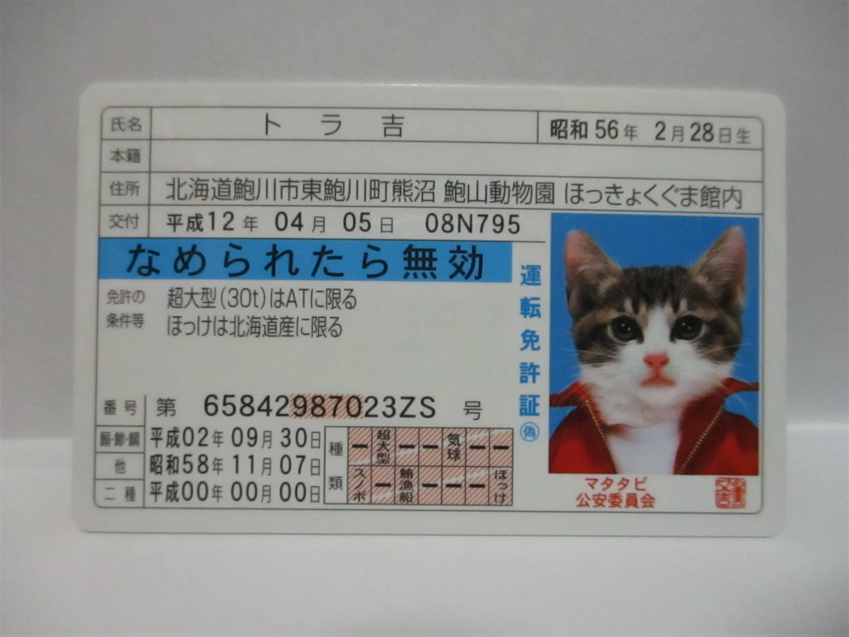 【 なめ猫 トラ吉 】 免許証 なめられたら無効 ブルー 新品 即決 なめんなよ なめ猫同梱検索拍卖