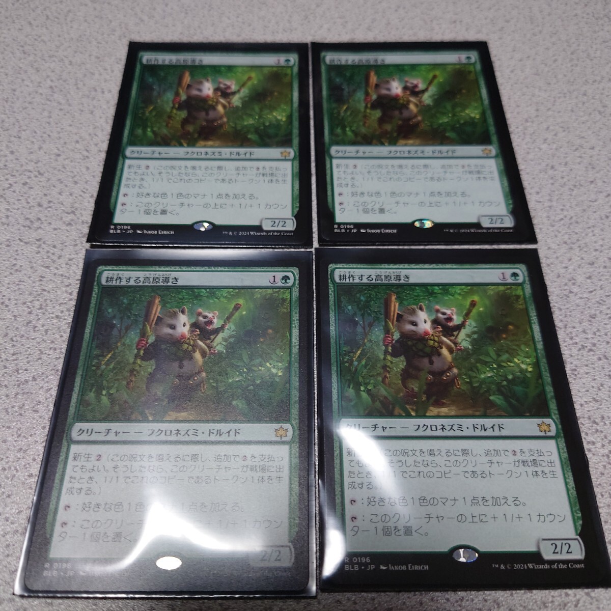 MTG BLB 耕作する高原導き 日本語 四枚セット ブルームバロウ 即決拍卖