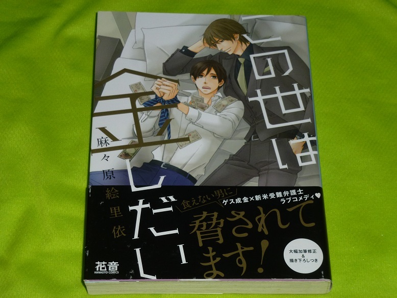 ★この世は金しだい★麻々原絵里依★送料112円拍卖