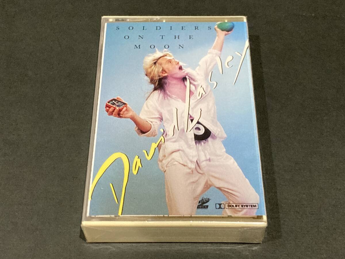 国内盤未開封カセット! DAVID LASLEYデヴィッド・ラズリー/SOLDIERS ON THE MOONソルジャーズ・オン・ザ・ムーン AOR 入手困難PCTY-00004拍卖