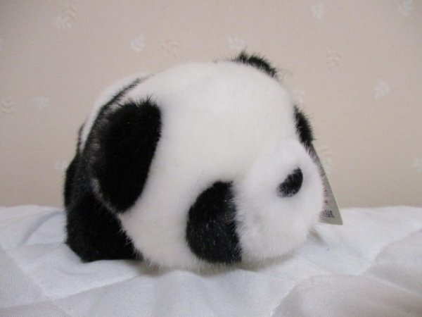 「可愛い パンダ Panda Way ♪ 40804」拍卖
