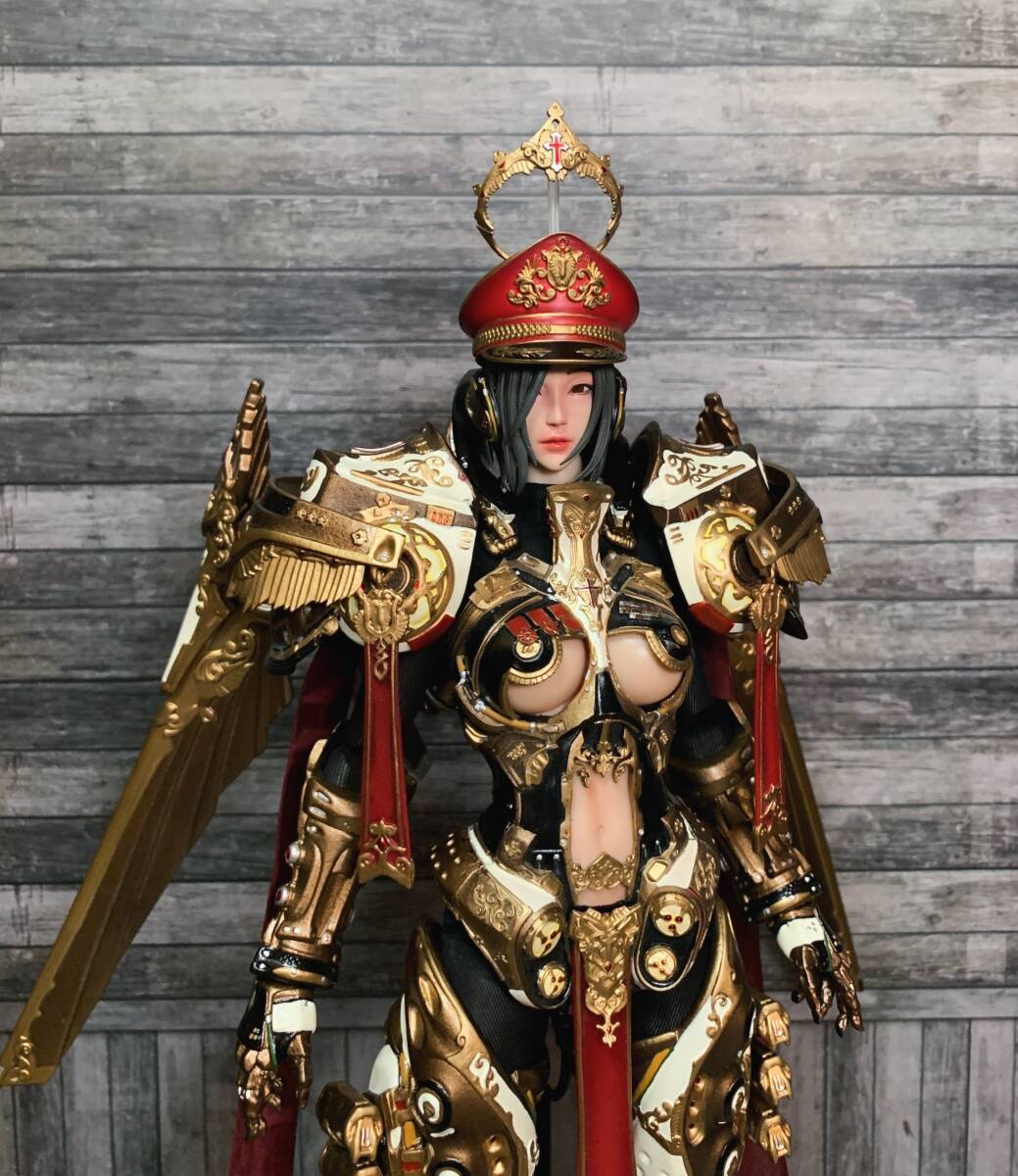 coreplay 1/6 WINGS OF TRIAL 審判の翼 グレードアップ ヘッド ホットトイズ ※ヘッドのみの出品です! ホットトイズ TBLeague拍卖